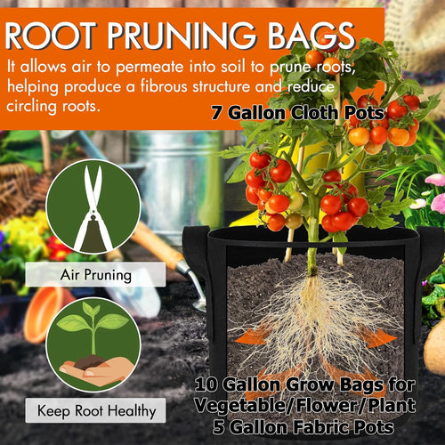 3/5/7 Gallon Grow Bags for Vegetable/Flower/Plant Fabric Pots with Handles Reinforced Aeration Planting Bags for Vegetables